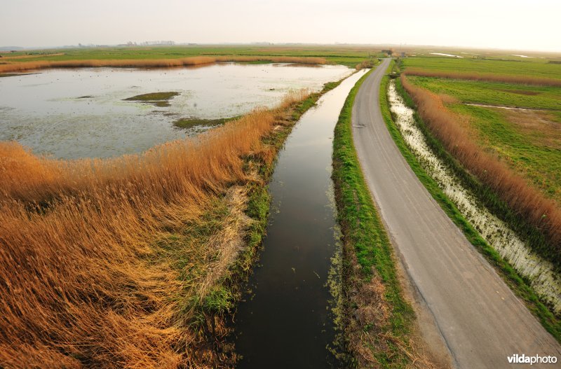 Uitkerkse Polders