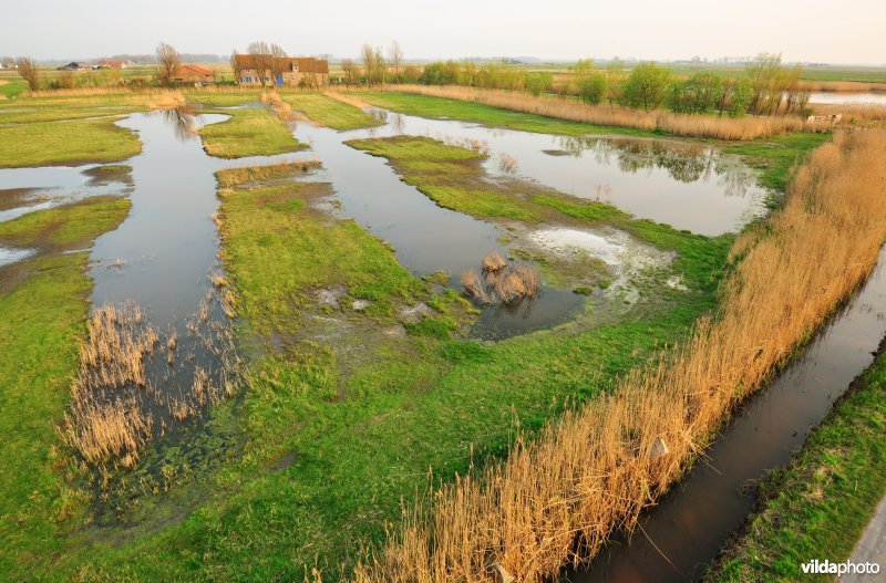 Uitkerkse Polders