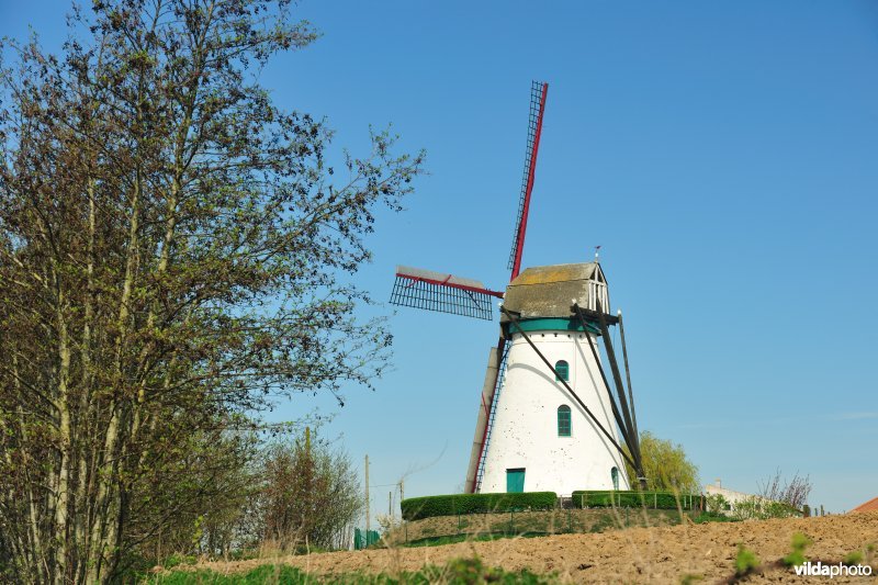 Brouckmolen