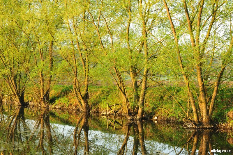 Dijlevallei: Hollaken - Hoogdonk Deel 1