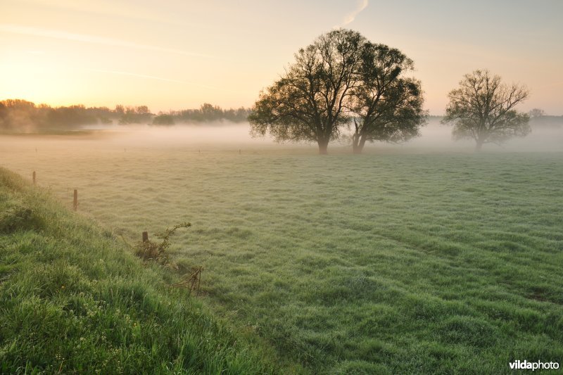 Dijlevallei: Hollaken - Hoogdonk Deel 2