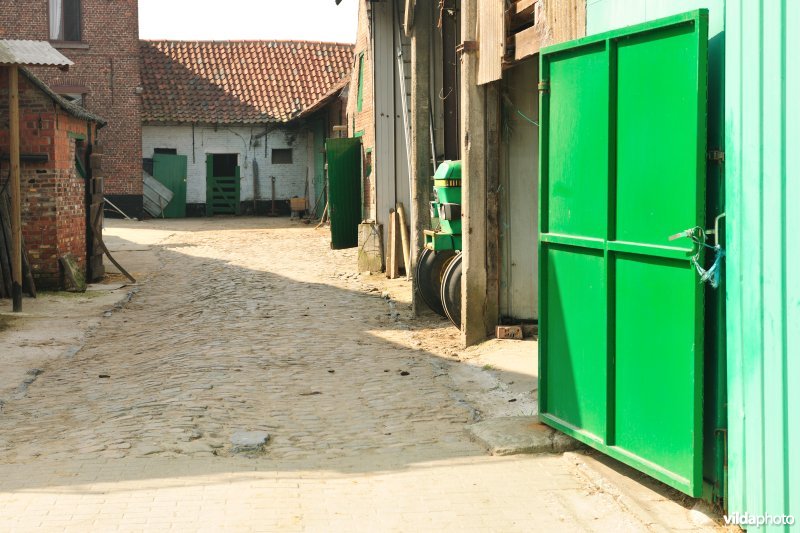 Boerderij in de Kalkense meersen