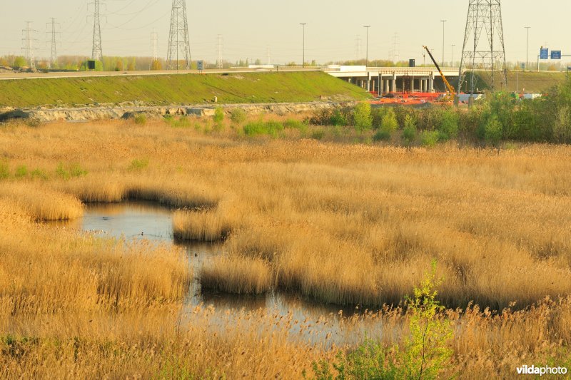 Steenlandpolder