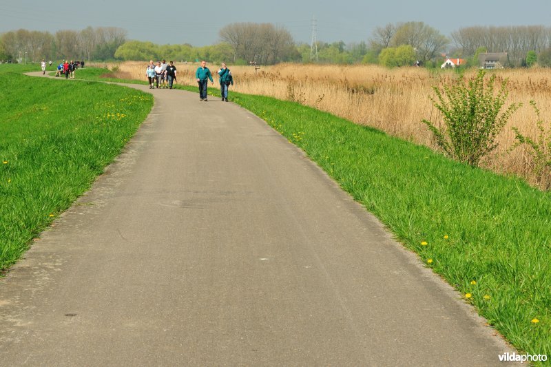 Wandelaars op de Dijledijk