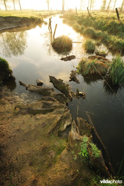 KBR polder