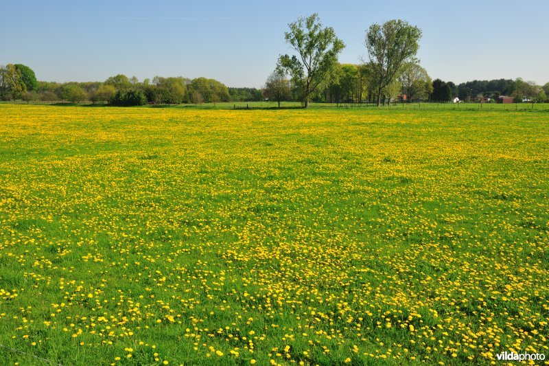 Vallei van de Grote Nete