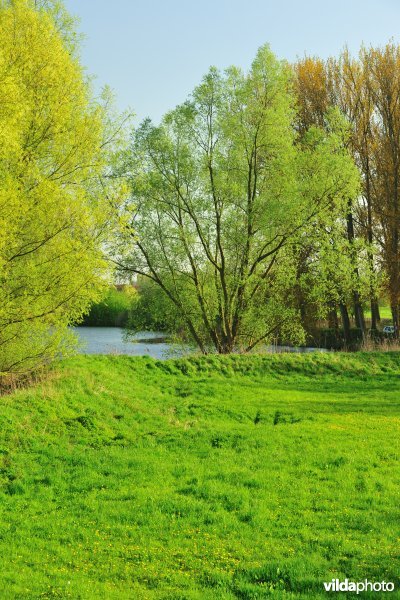 Weijmeerbroek