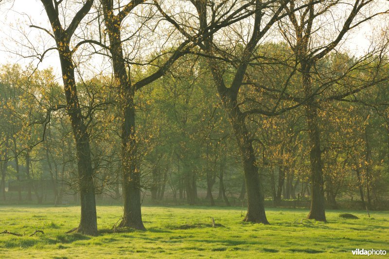 Vallei van de Grote Nete