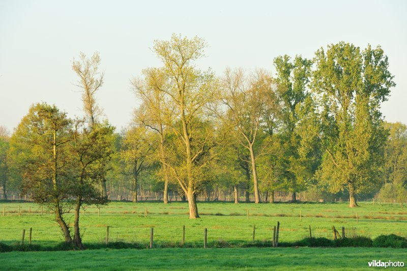 Vallei van de Grote Nete