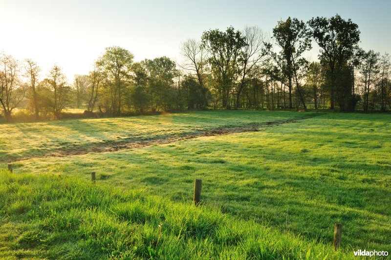 Vallei van de Grote Nete