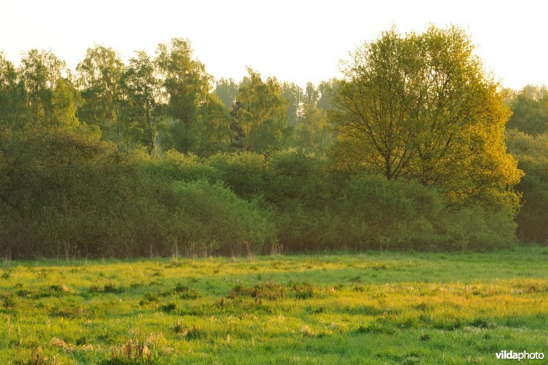 Vallei van de Grote Nete