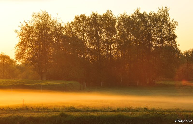 Vallei van de Grote Nete