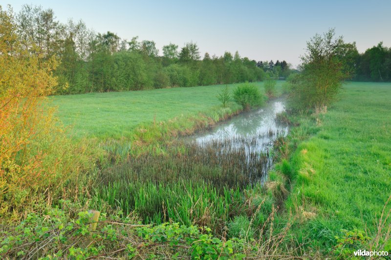 Vallei van de Grote Nete