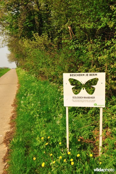 Berm aan Bassegembos