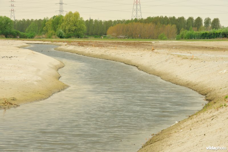 Vlakte van Zwijndrecht