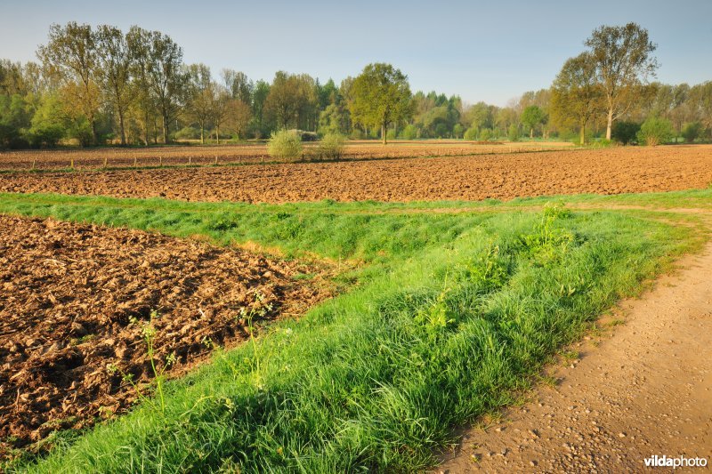 Dijlevallei: Pikhaken