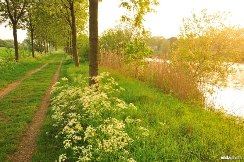 Leievallei van Marke