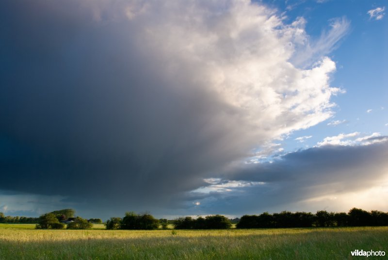 Regenwolk boven stroomdalgrasland