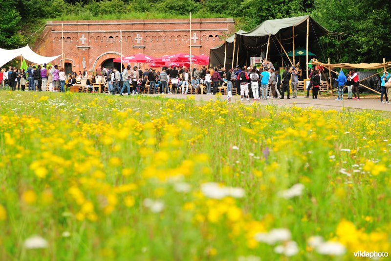 Muziekoptreden in Fort 4