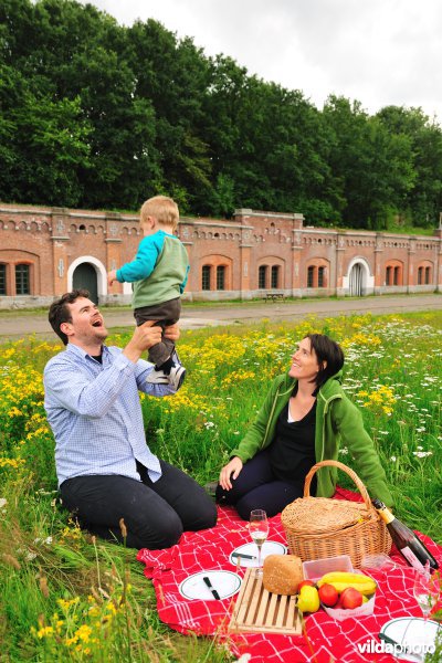 Picknick in Fort 4