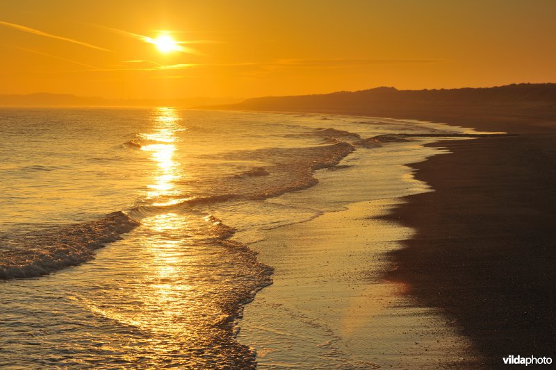 Strand aan de Zwinmonding
