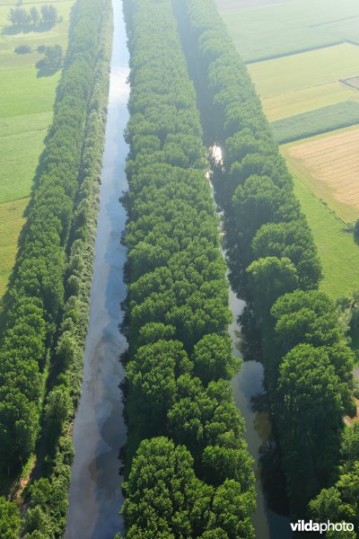 Het Schipdonkkanaal en het Leopoldkanaal