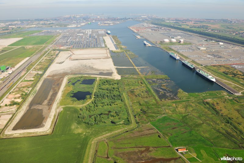 Achterhaven van Zeebrugge