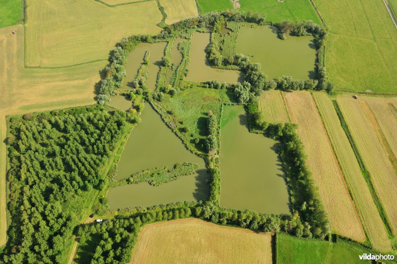 Visputten in Wenduine