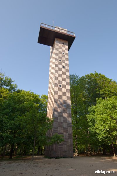 Uitzichttoren Kaapse Bossen