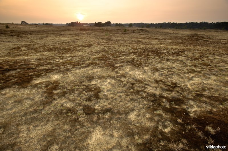 Zandverstuivingslandschap