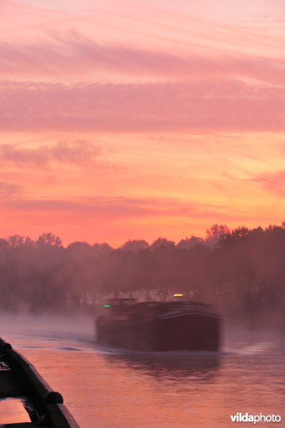 Vrachtboot op de Leie