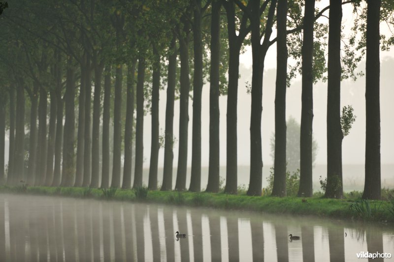 Spierekanaal