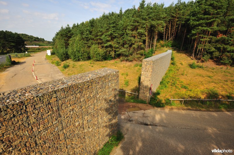 Mechelse Heide