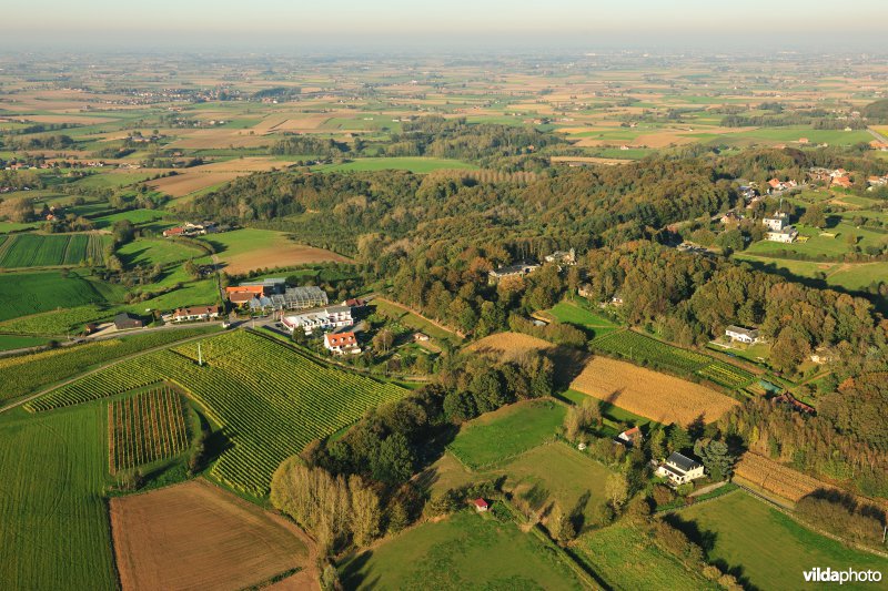Rodeberg