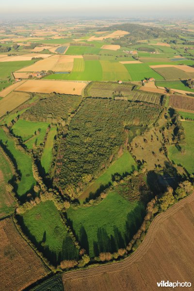 Natuurreservaat Het Eeuwenhout