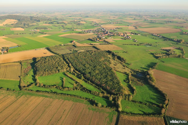 Natuurreservaat Het Eeuwenhout