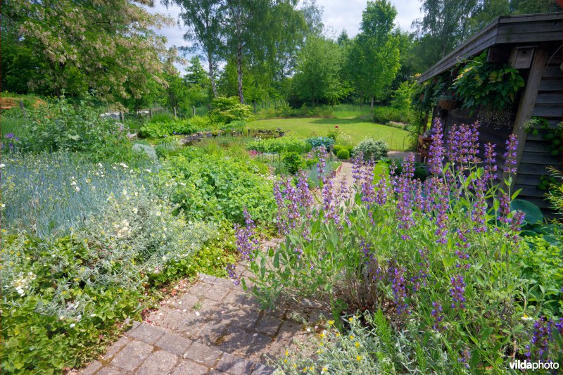 Natuurvriendelijke tuin