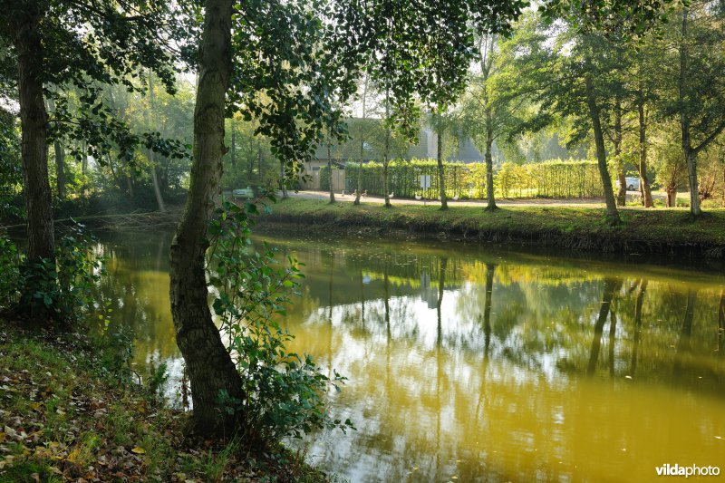 Visvijvers Biezeveld