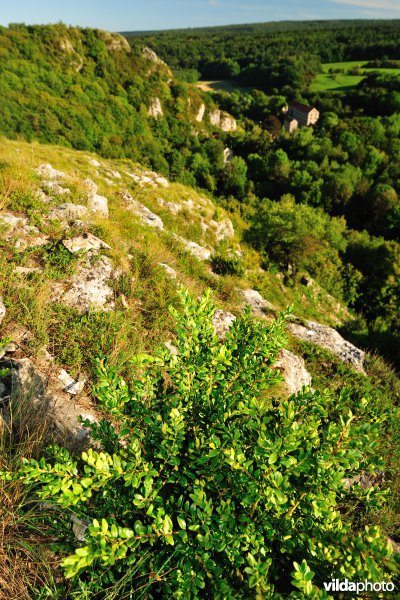 La Roche Ã  Lomme