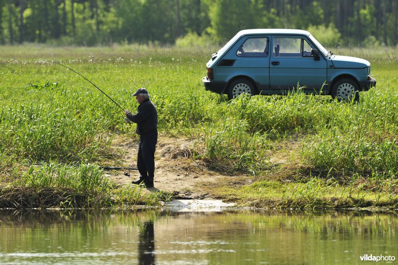 Visser in de vallei van de Biebrza