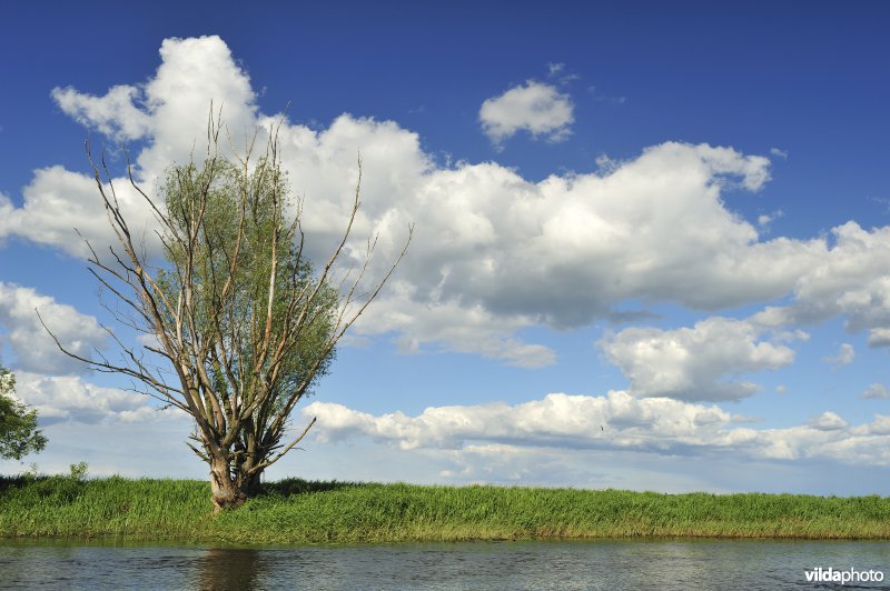 Vallei van de Biebrza