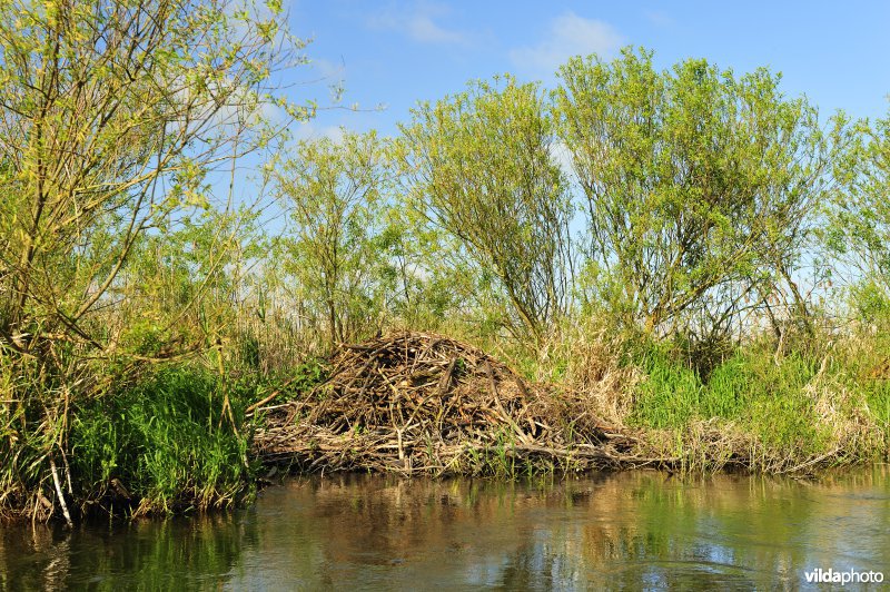 Vallei van de Biebrza