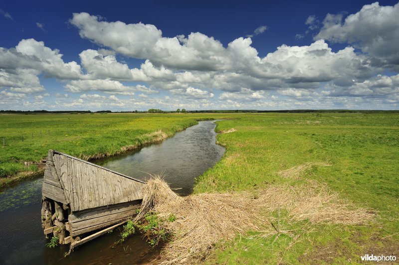 Vallei van de Biebrza