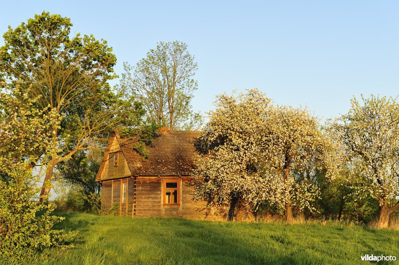 Huis in de vallei van de Biebrza