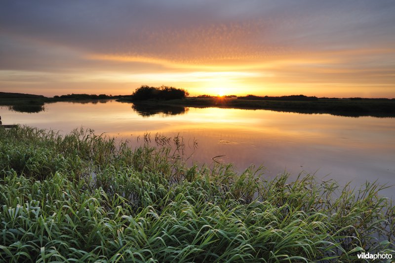 Vallei van de Biebrza