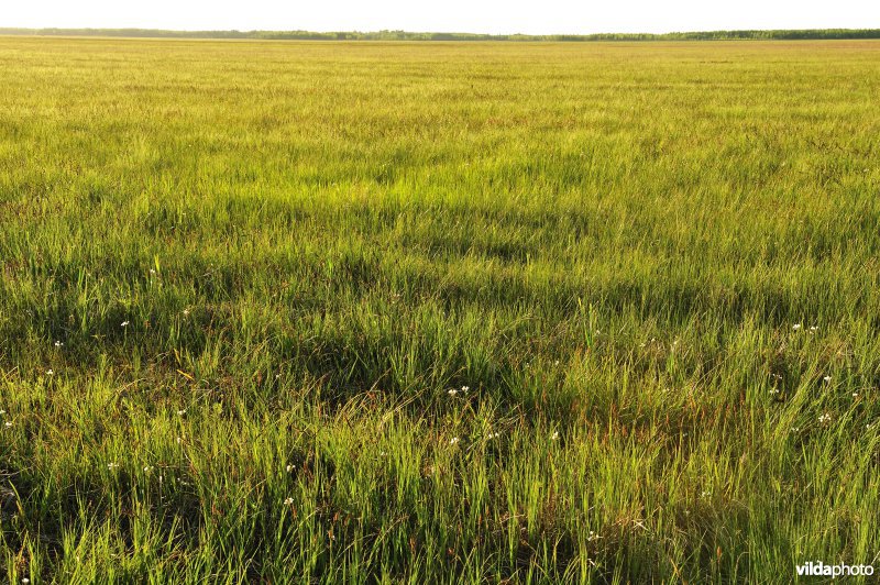 Vallei van de Biebrza