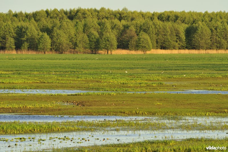 Vallei van de Biebrza