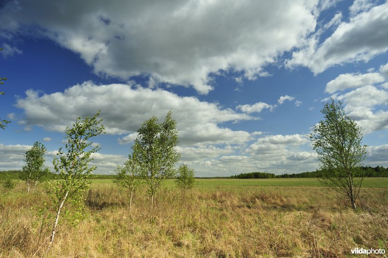 Vallei van de Biebrza