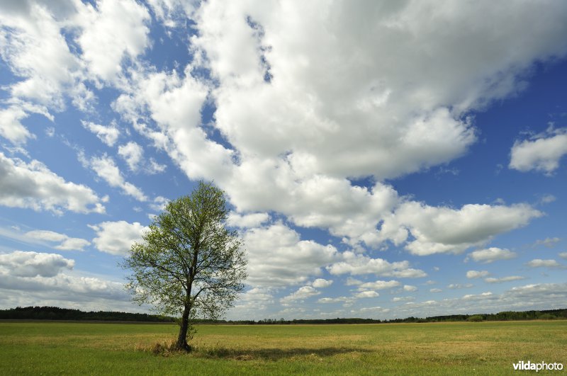 Vallei van de Biebrza