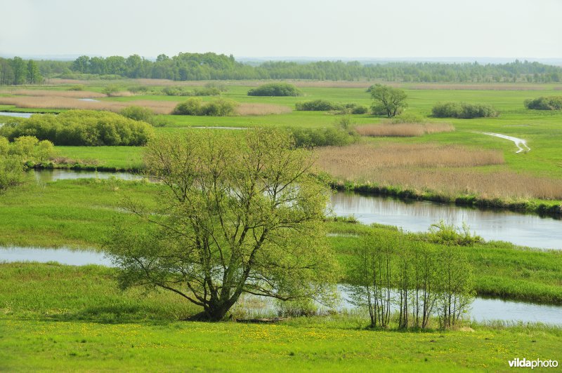 Vallei van de Biebrza